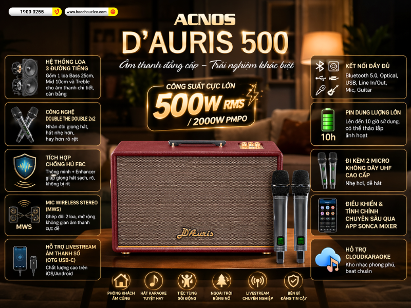 Loa Acnos D&rsquo;Auris 500