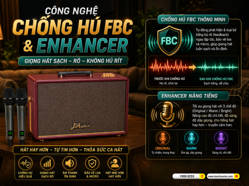 Loa Acnos D&rsquo;Auris 500