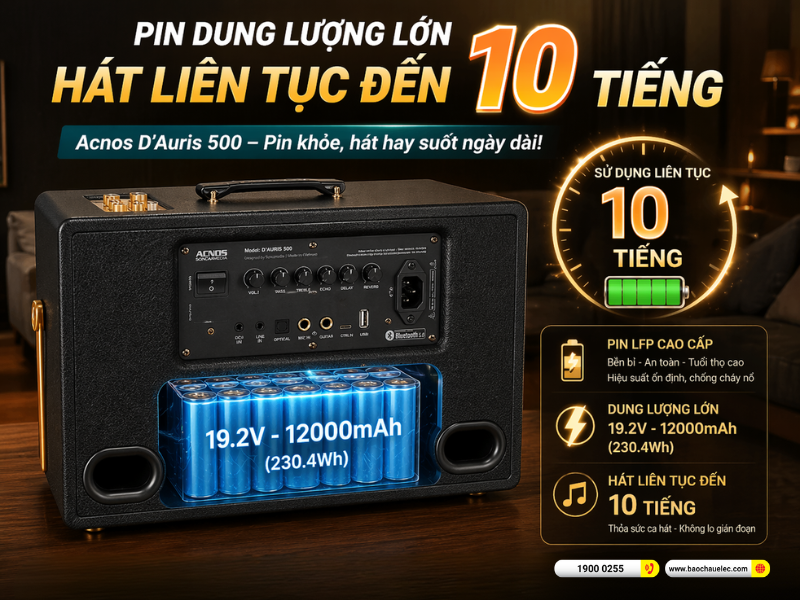 Loa Acnos D&rsquo;Auris 500