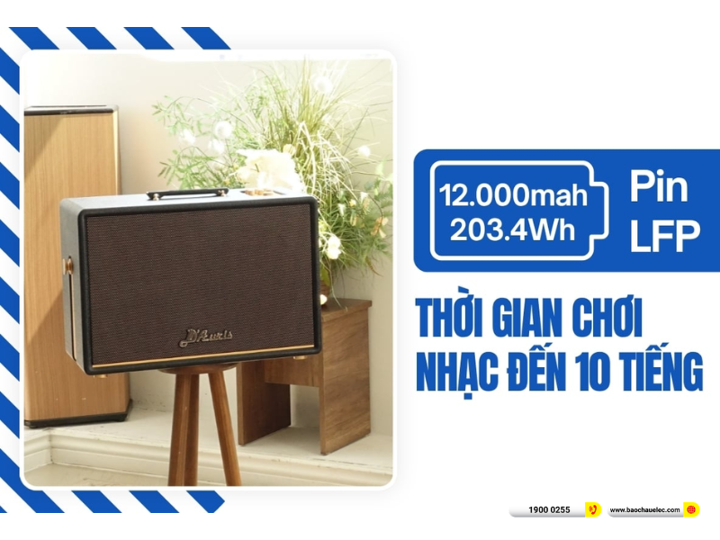 Loa Acnos D&rsquo;Auris 500