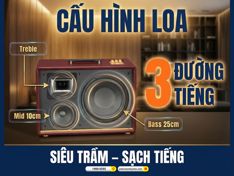 Loa Acnos D&rsquo;Auris 500