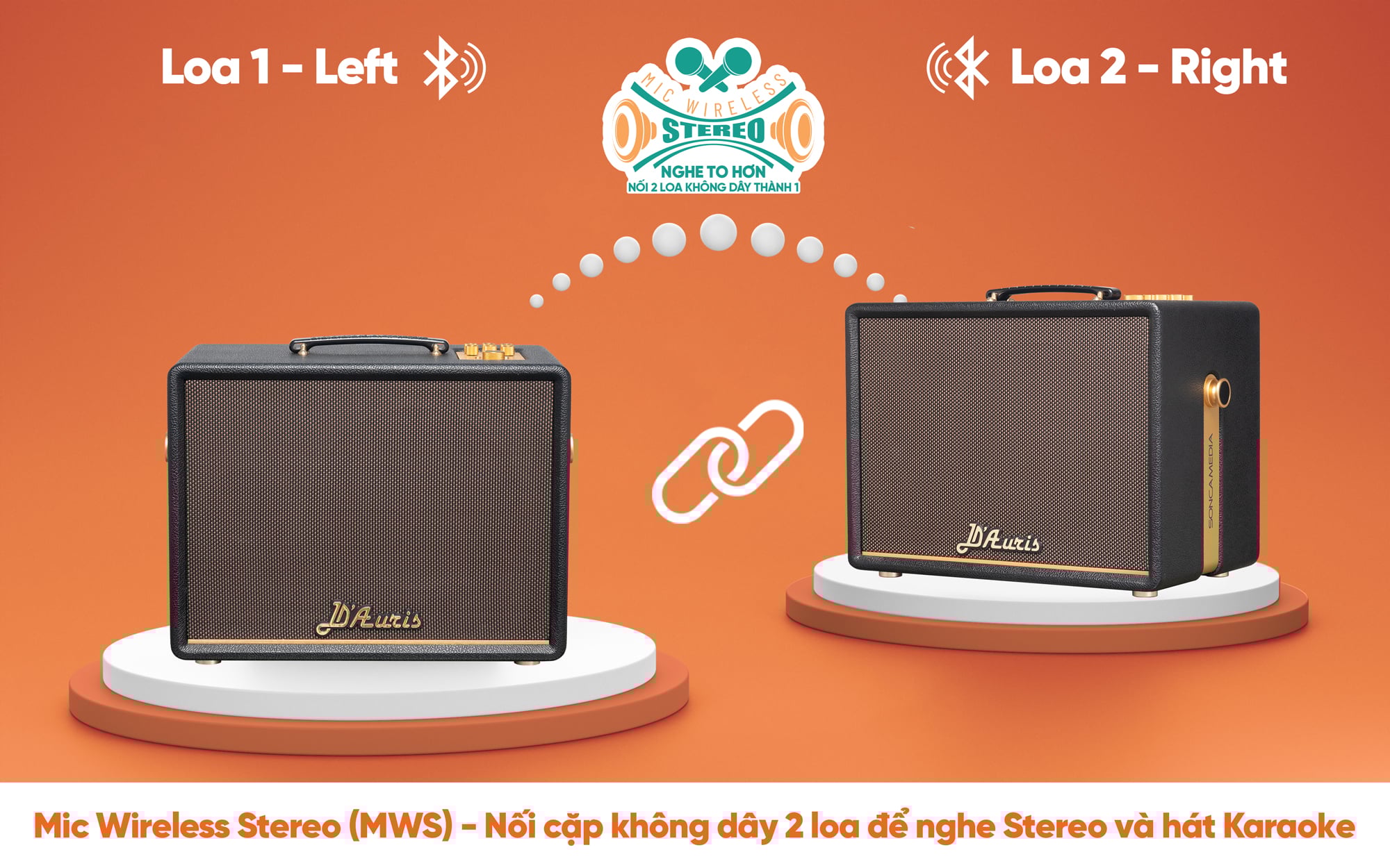 Loa k&eacute;o Acnos D Auris 200