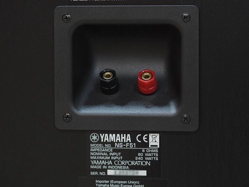 loa Yamaha NS-F51