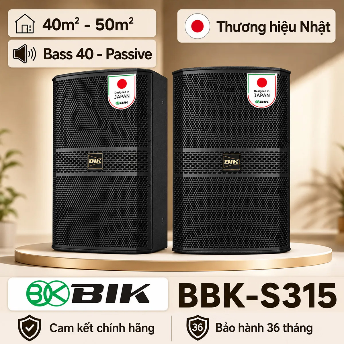 Loa karaoke Nhật BIK BBK-S315 (Đen)