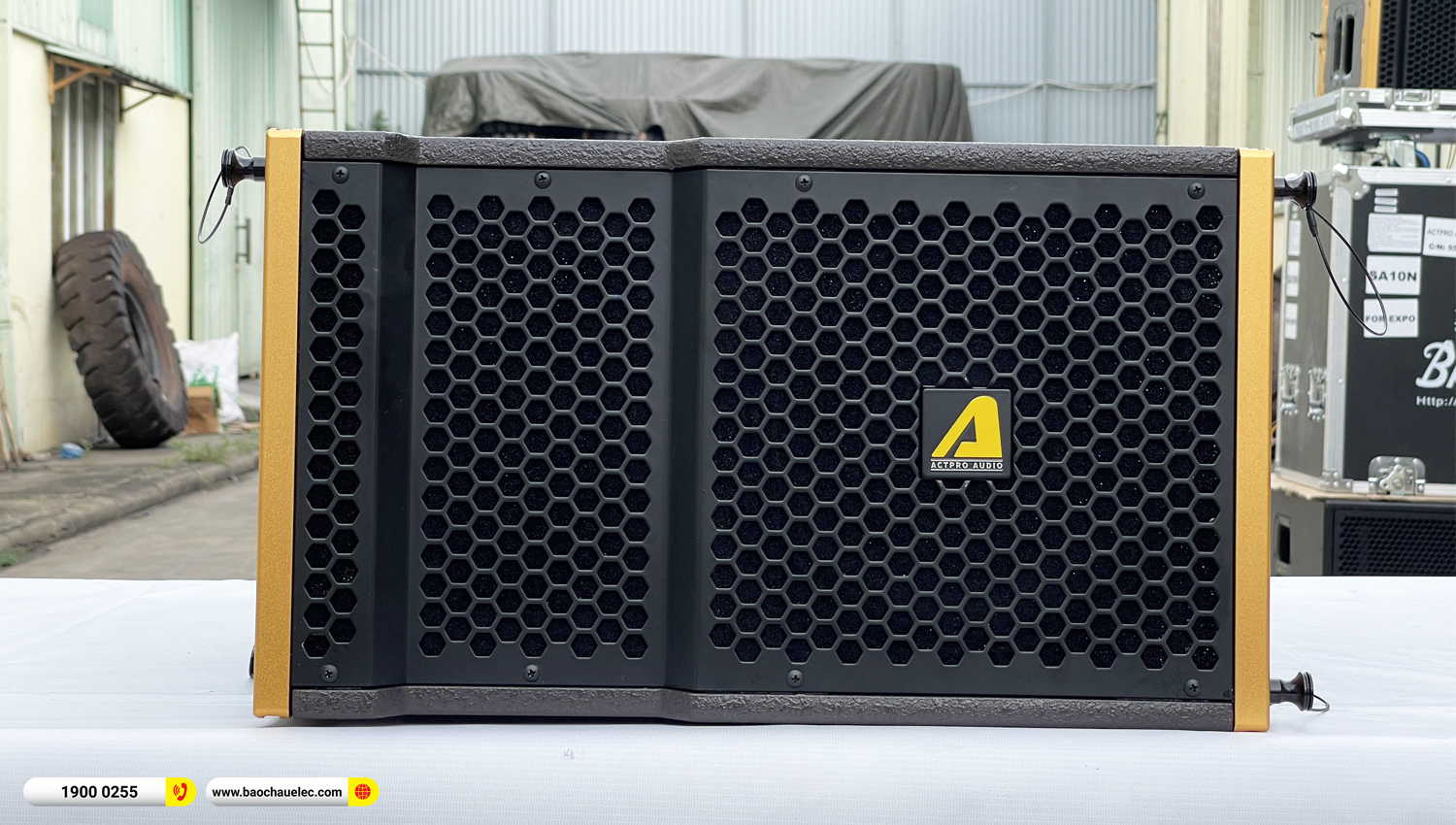 Loa Line Array Bass Đơn 25cm Actpro SA10N