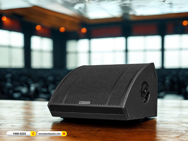 Loa Monitor dBTechnologies VIO W12T