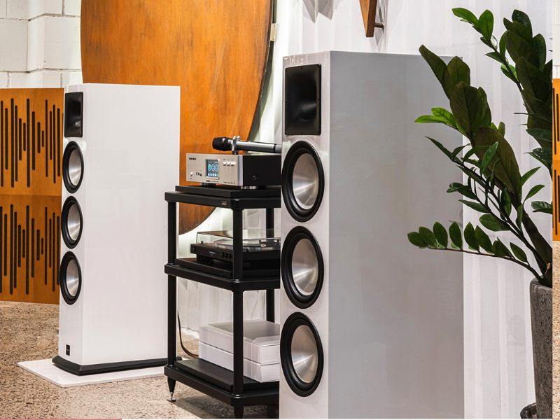 Loa Paramax EURO 803 Special Edition