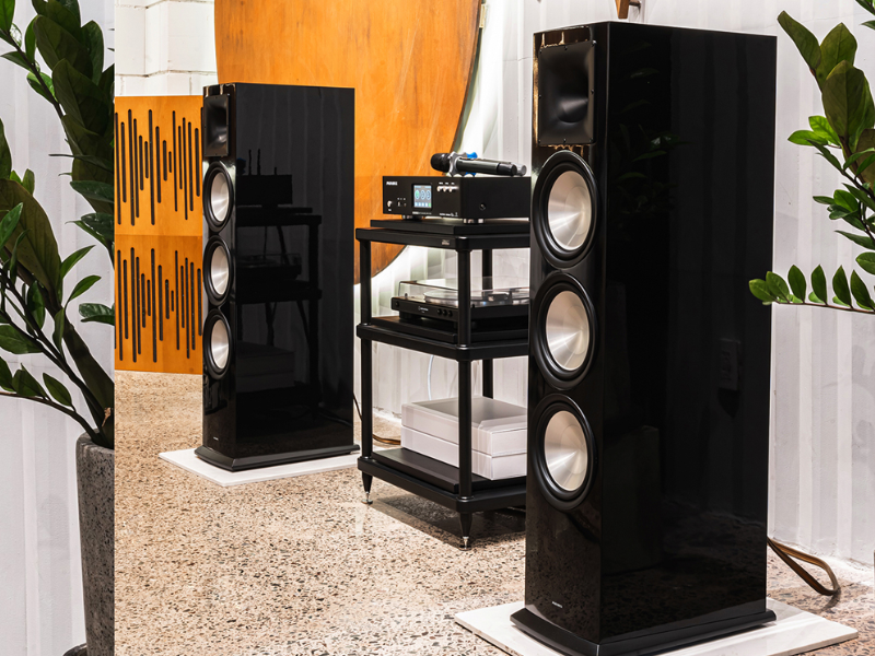 Loa Paramax EURO 803 Special Edition