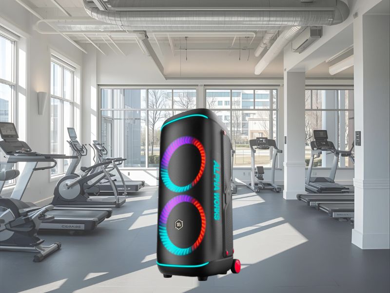 Loa Alpha Works Genbeat 120