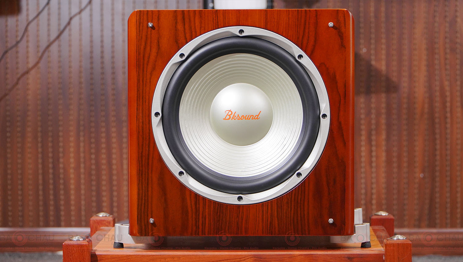 Loa sub điện BKSound SW512