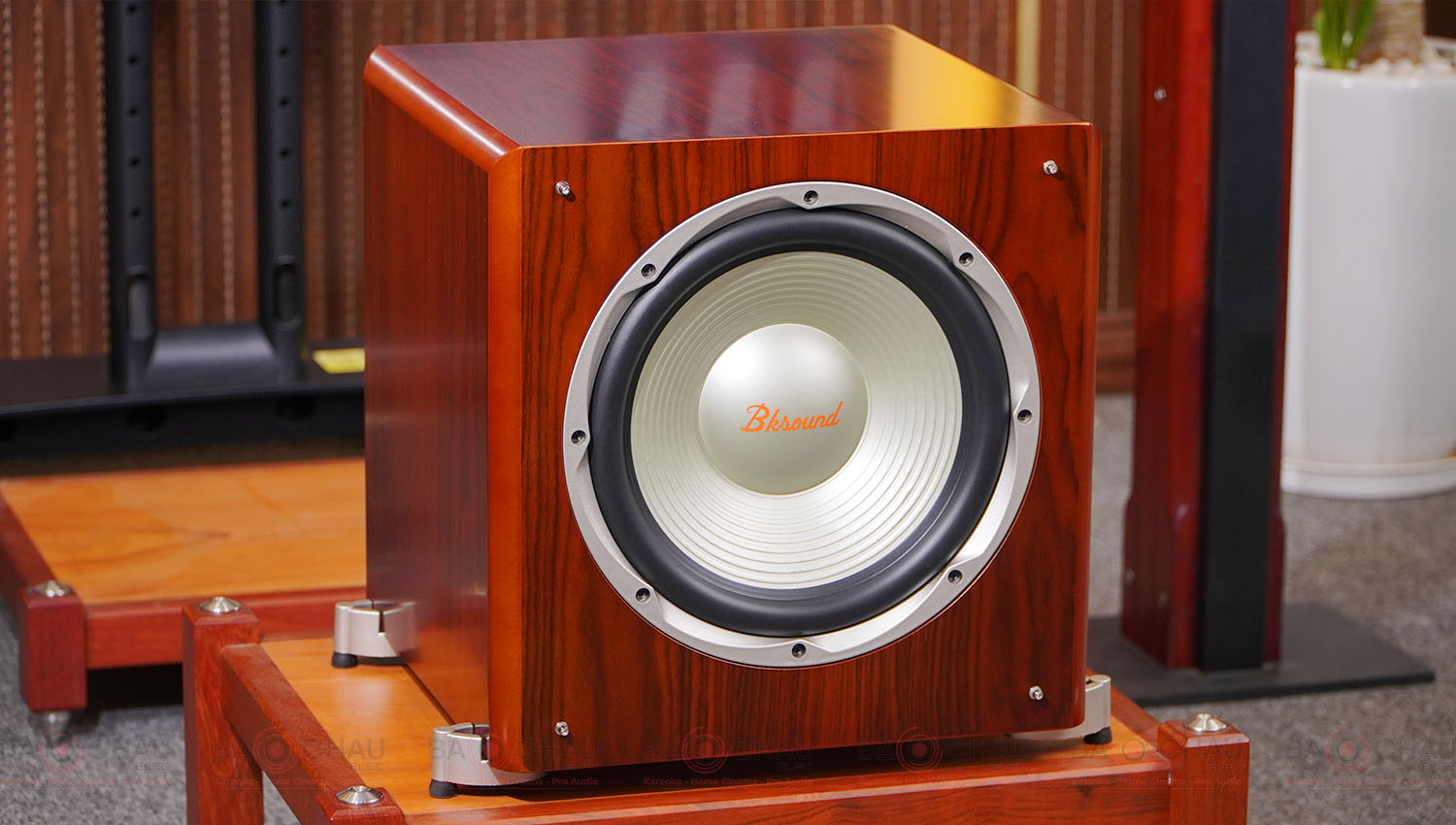 Loa sub điện BKSound SW512