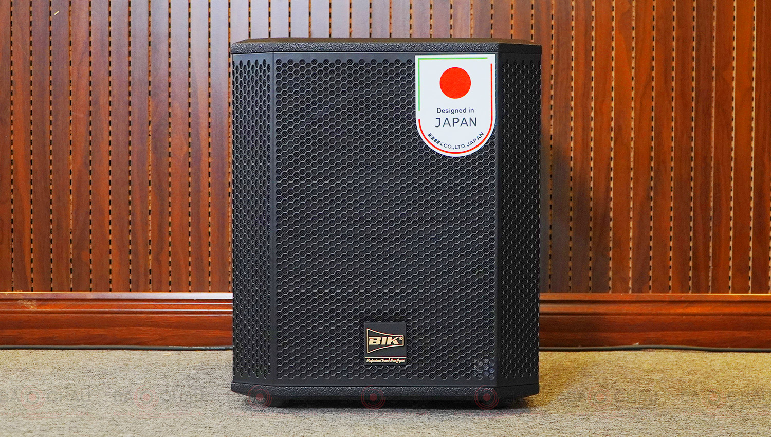 Loa sub điện BIK BBK-W25A