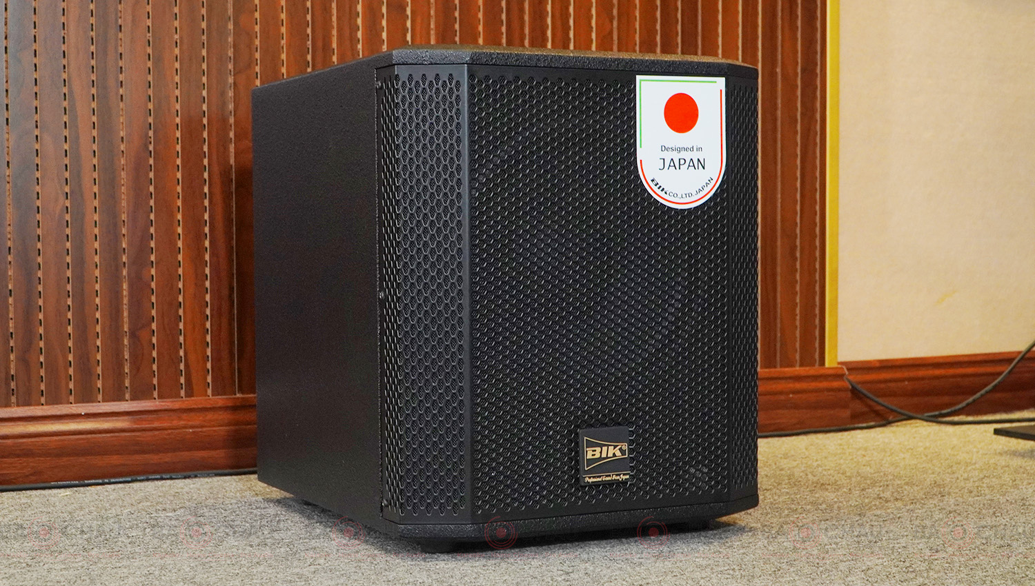 Loa sub điện BIK BBK-W25A