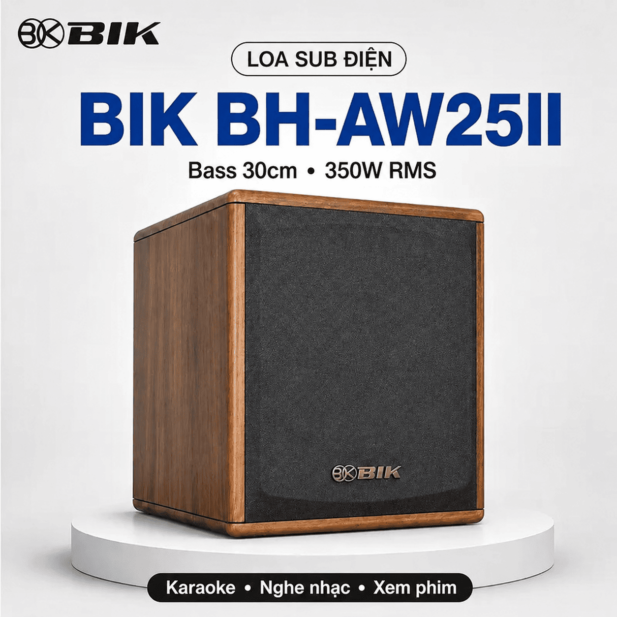 Loa sub điện BIK BH-AW25II (Đen)