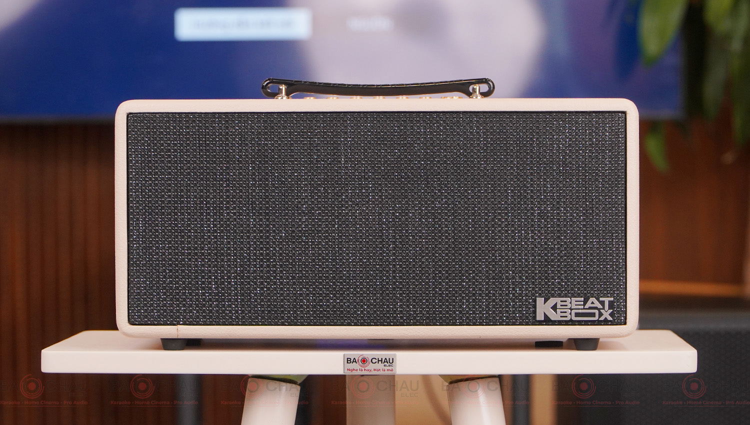 Loa Acnos KS369Plus