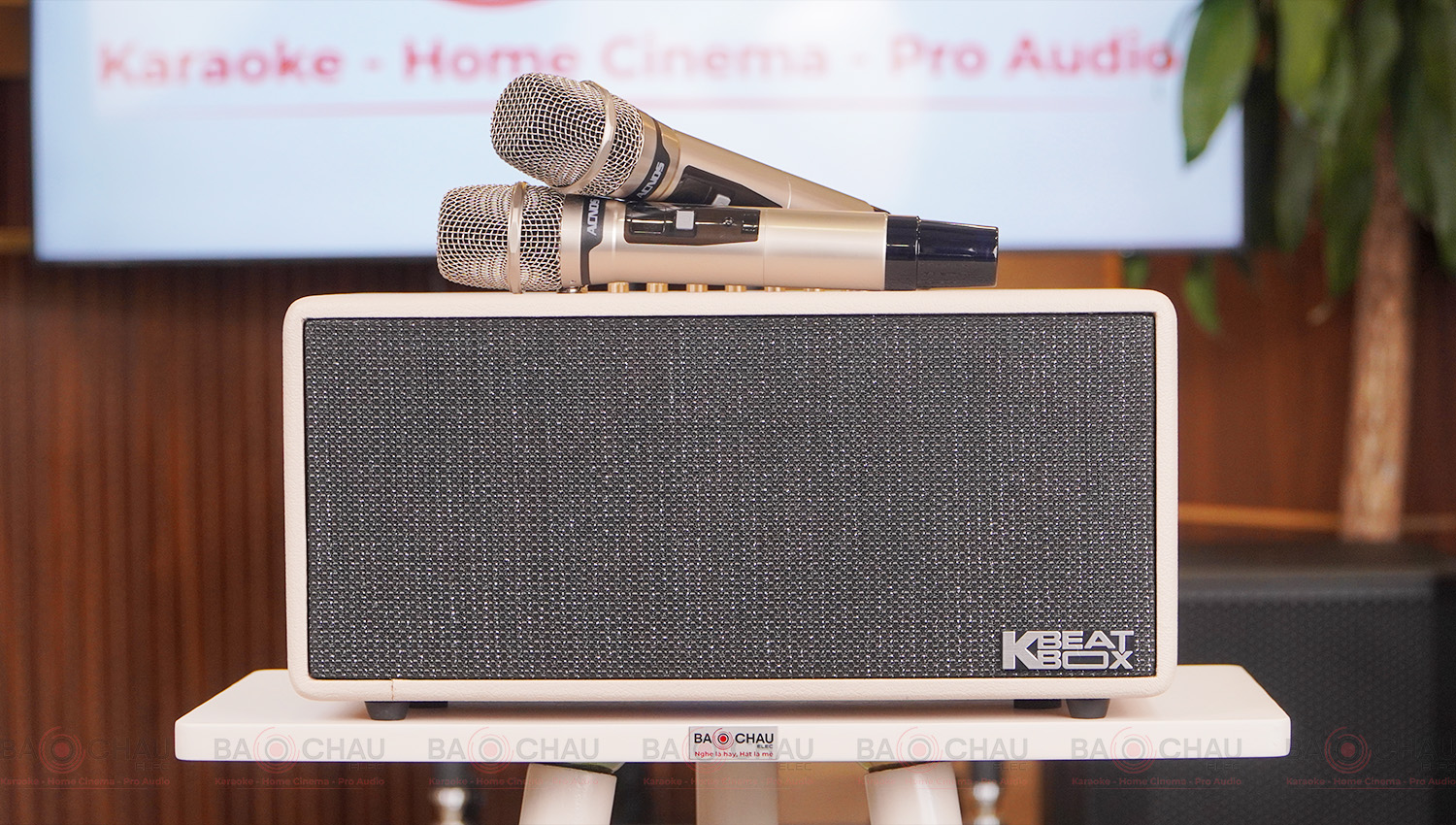 Loa Acnos KS369Plus