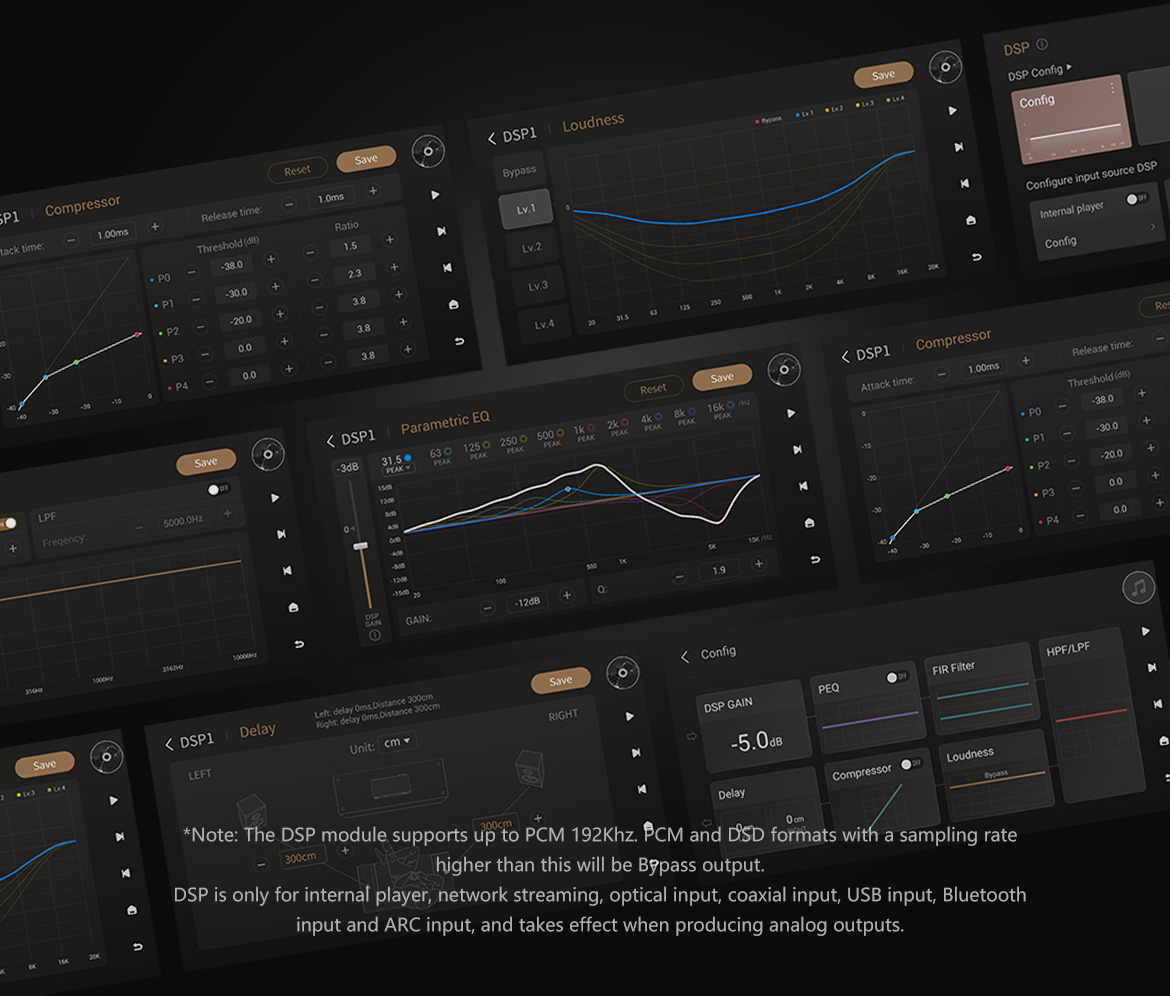 Music Server Eversolo DMP-A8