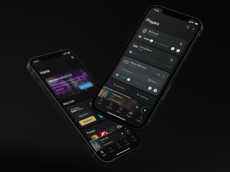Music Streaming Bluesound Node Icon