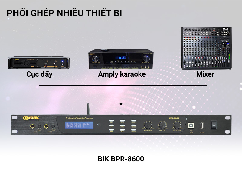 Vang số BIK BPR-8600