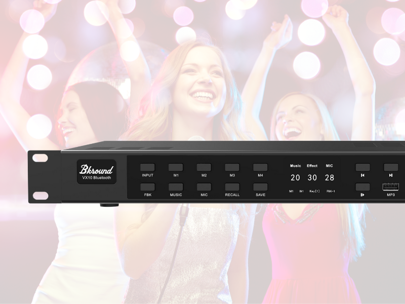 Vang số BKSound VX10