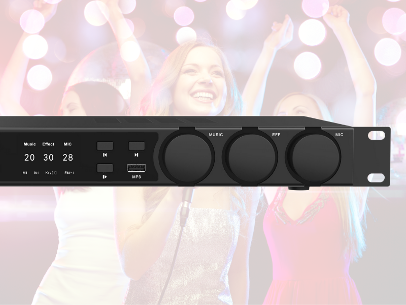 Vang số BKSound VX10
