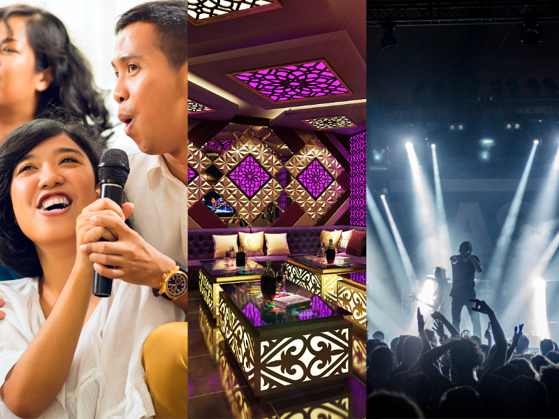 Vang số BKSound VX10