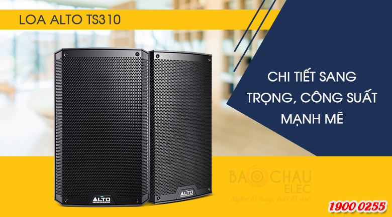 Loa karaoke Alto TS310 chi tiết sang trọng, hàng chính hãng 100%