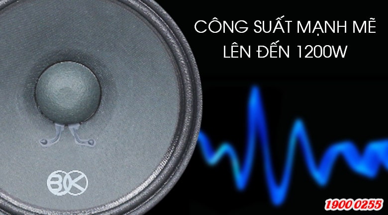 loa-karaoke-BS-998X-2 loa-karaoke-BS-998X-2