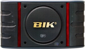 Loa karaoke Bik BS-998
